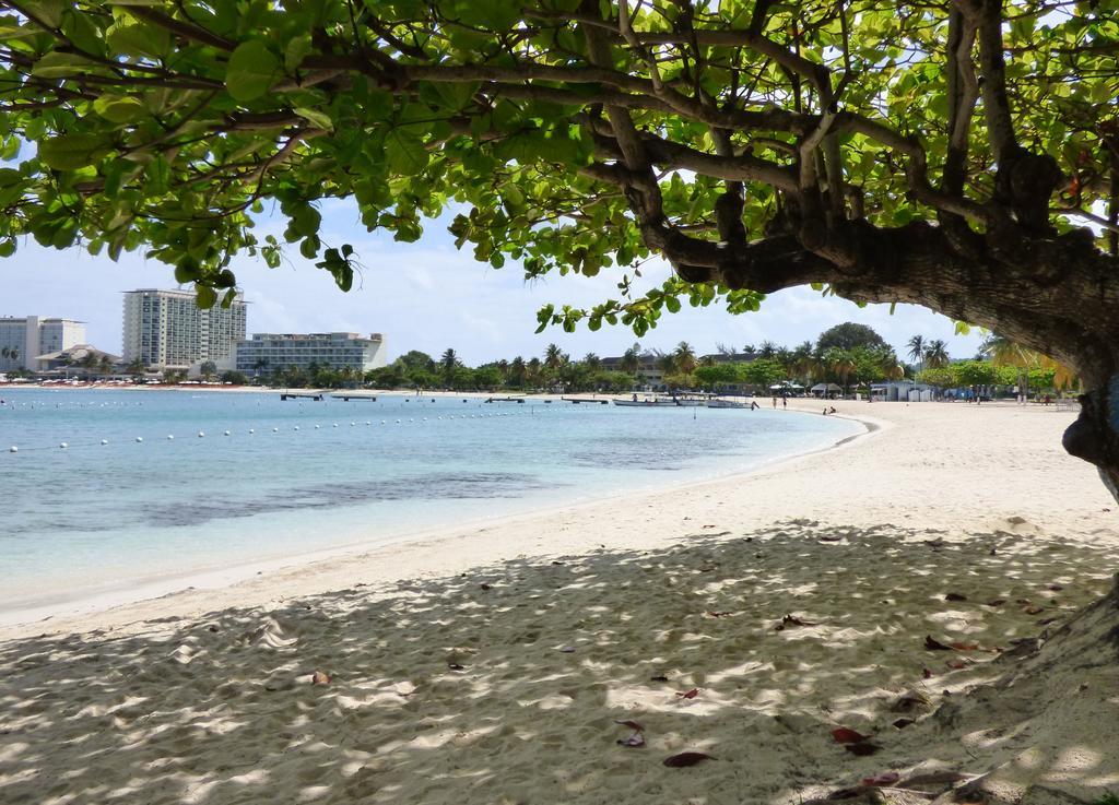 Beach One Bedroom Suite 13 Ocho Rios Exterior photo